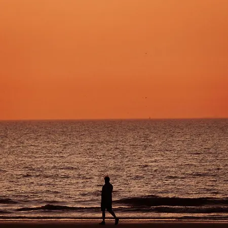 Daire Kobana Kabana Oostende