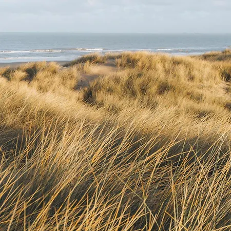 Kobana Kabana * Ostend