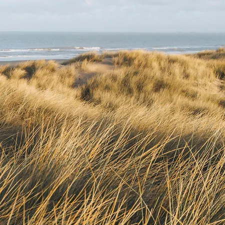 Kobana Kabana * Ostende